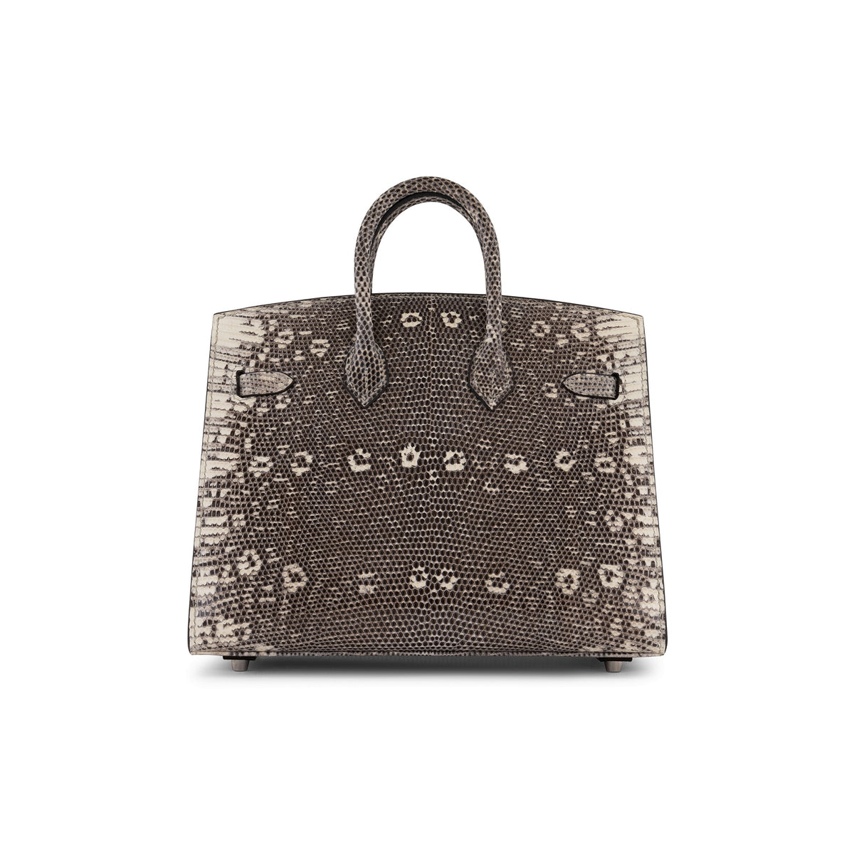 Ombre Lizard Birkin 20cm